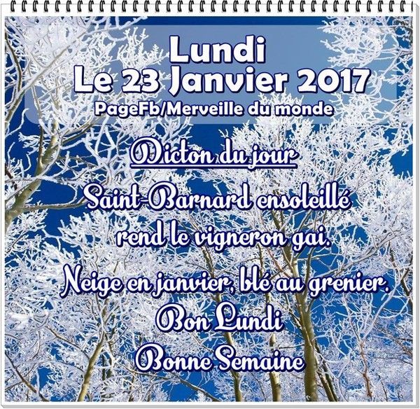 23 JANVIER 2017