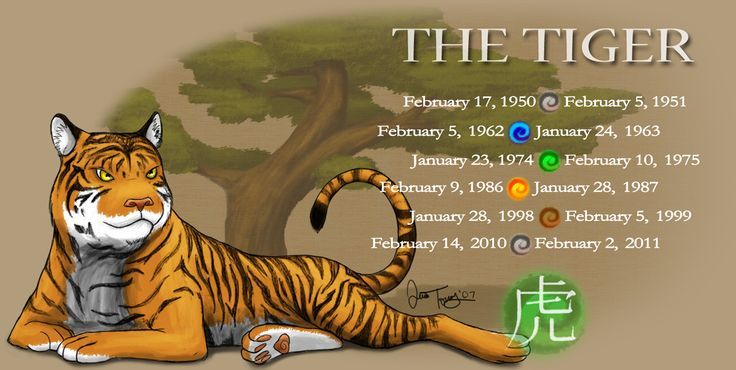 aj 36 year of the tiger